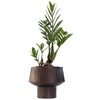 Wide Top Modern Handmade Metal Indoor Planter with Unique Shape,
