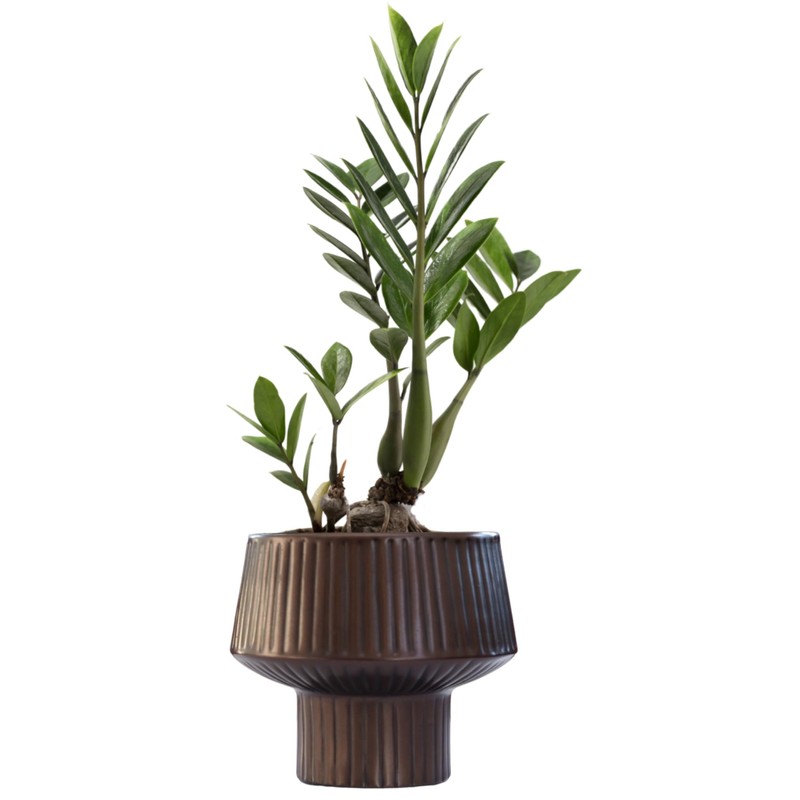 Wide Top Modern Handmade Metal Indoor Planter with Unique Shape,