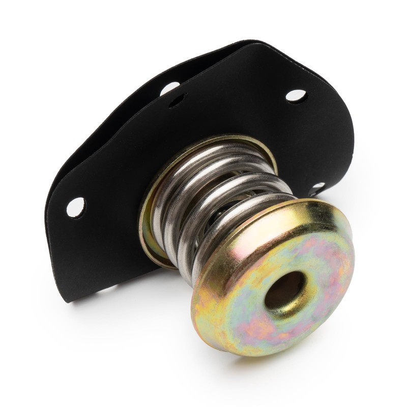 17110851 Fuel Injection Pressure Regulator