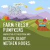 Green Valley Organic Pumpkin 15 Ounce Pack of 4 100%