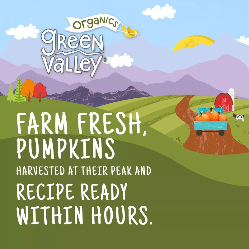 Green Valley Organic Pumpkin 15 Ounce Pack of 4 100%