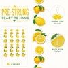 Lemon Party Garland Banner - Tropical Bird Decoration ﻿