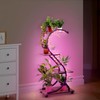 RVHOME Plant Stand Indoor with Grow Lights, 4 Tiered 31"