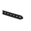Lowlife Triple S Studded Leather Belt in Black and Silver