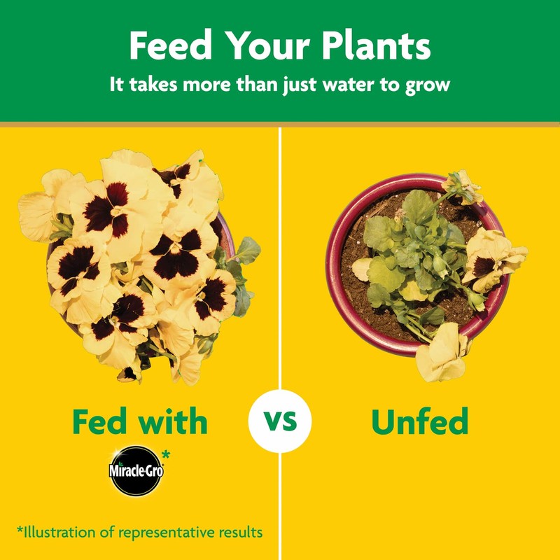 Miracle-Gro Water Soluble All Purpose Plant Food, Plant Fertilizer for