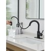 Black Bathroom Sink Faucet with Pull Out Sprayer for Sink