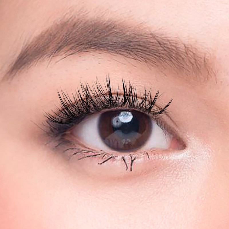 Char Cosmetics Dreamy Dozen Lash 24pcs