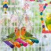 CINY Bird Toy, Natural Swings Made of Solid Wood, Stand