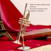 Trumpet Model Ornaments Exquisite Brass Miniature Instrument Desktop Decoration Gold