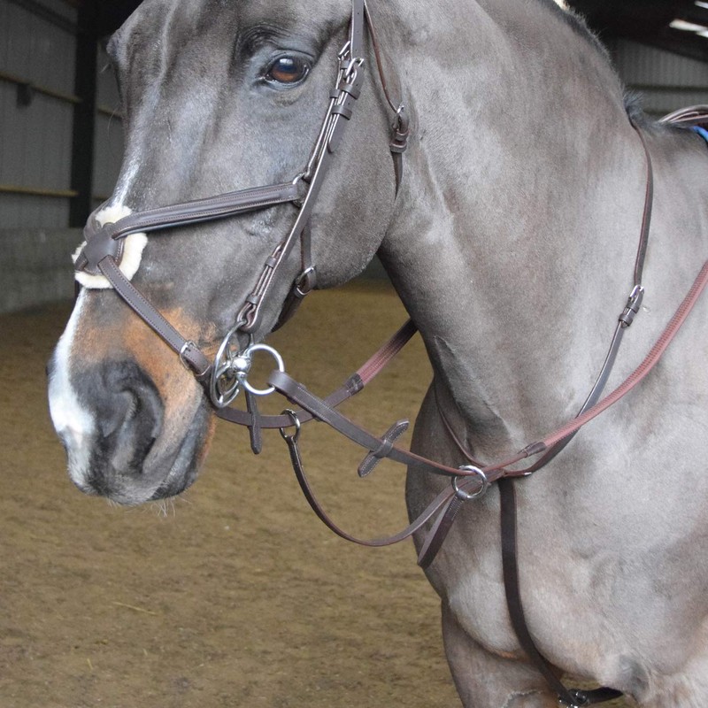 John Whitaker Ready to Ride Martingale Full Size Havana
