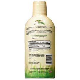 Garden Greens Wheat Grass Liquid with Real Ginger Extract, Nature's Perfect Superfood, 32 servings