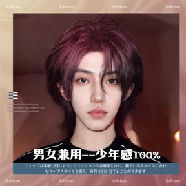 Sofeiyan Wig, Men's, Wolf Cut, Gradation, Wig, Men's Clothing, Straight, Black, Short, Full Wig, Natural, Everyday Use, Changing Image, Unisex, Heat Resistant, Small Face, Wig Net Included (Pink and