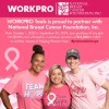 WORKPRO 6-Inch & 10-Inch 2-piece Pink Adjustable Wrench Set Metric