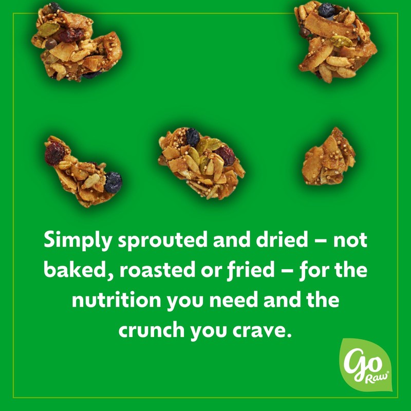 Go Raw Cherry Berry Chocolate Chunk Snacking Granola, 8oz Pouch