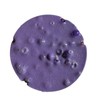 REMELTABLE Picking Pals Circles filled with beads Acrylic:_Small Purple Circle/Purple