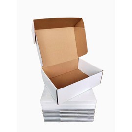Eluleegc Shipping Boxes Corrugated Cardboard Mailer Boxes Literature Mailer for Packaging Small Business Craft Gifts Giving Products (White, 12x9x4)