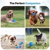 Petbobi Active Rolling Dog Ball - 2 Modes Interactive Dog