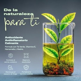 Gel Crema Contorno de Ojos 15 g  Ojeras, bolsas y arrugas, té verde, vitamina E, hamamelis                                                            