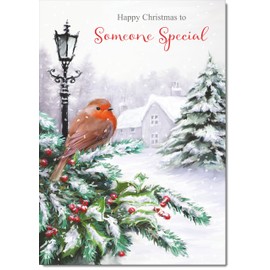 doodlecards Someone Special Christmas Card Robin by Lamp Medium Size Christmas Card for Someone Special with Plain Envelope