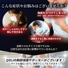 【Supervised by a Practicing Chiropractor】 Rib Supporter Corset Chest Protection
