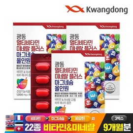 Guangdong Multivitamin Mineral Plus Magnesium All-in-One 90 tablets 3 boxes (9 months supply) / 광동 멀티비타민미네랄 플러스 마그네슘 올인원 90정 3박스(9개월분)