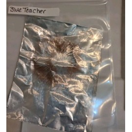 Mushroom Spore Print On Foil W/Slide & Accessories, Decorative Studies