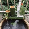 Solar Fountain 6V 10W Bird Bath Fountain USB Interface with