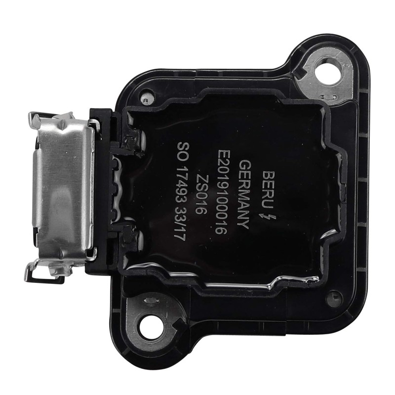 Beru AG ZS016 Ignition and Heating System