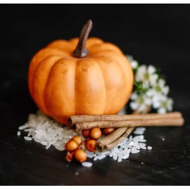 Viori Pumpkin Spice Exfoliating Sugar Scrub Solid Bar Limited Edition Sold Out