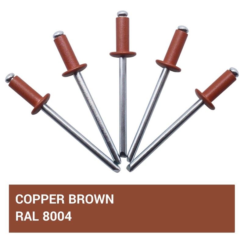 SKIR'CO Pack of 400 blind rivets painted 4.0 x 10