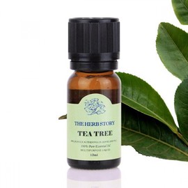 [3 items] Natural aroma herb therapy tea tree oil 12ml / [3개] 천연아로마 허브테라피 티트리오일 12ml