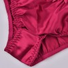 Satin Bikini Panties, 100% Silk Panties for Women (4-Pack)