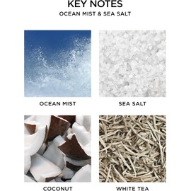 NEST New York - Frascos difusores de pared, niebla del océano y sal marina, juego de 2, hasta 60 días de olor continuo, sin crueldad, vegano, fabricado en Estados Unidos