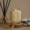 Paddywax Botanica Scented Candle with Lid in Reusable Embossed Glass