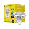 GE Ultra Bright LED Light Bulbs, 250 Watt, Daylight, PAR38