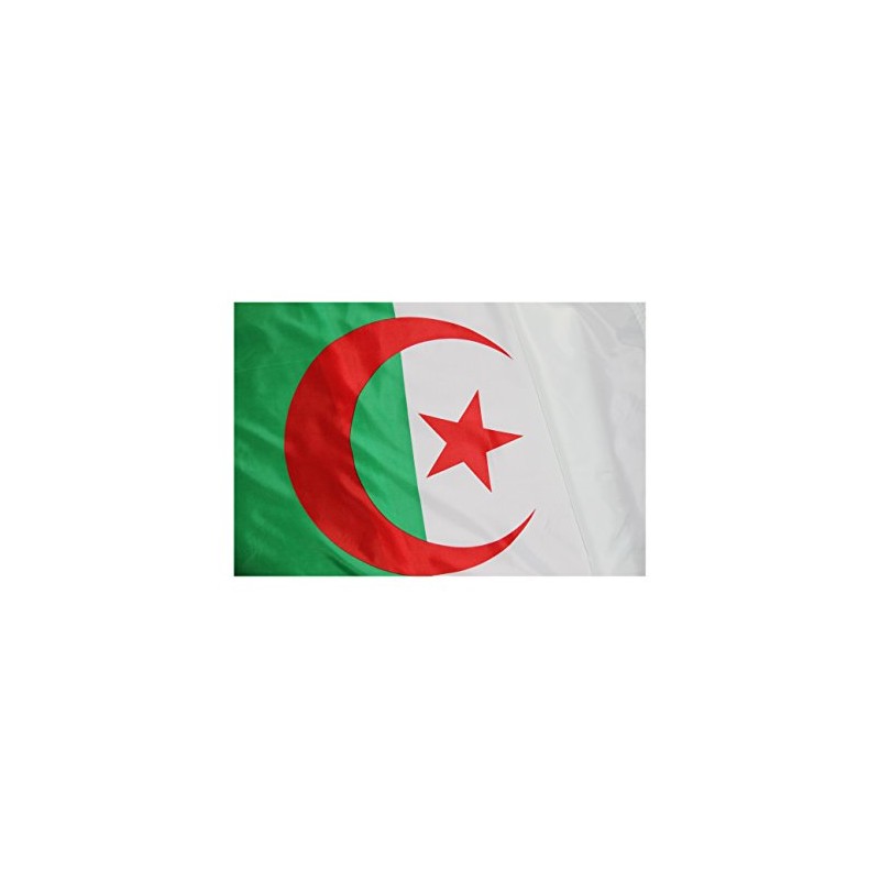 Algeria National Flag (Pack of 50), 3' x 5'