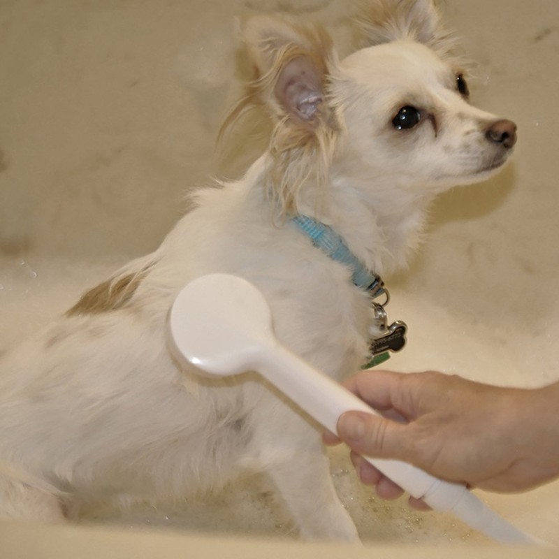 Danco 10086 VersaSpray Portable Hand Held Shower Head Sprayer Fits