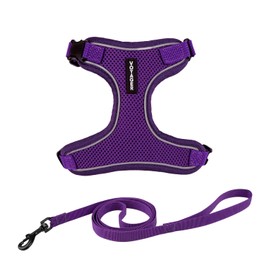Voyager Escape Proof Cat Harness and Leash Set with Reflective Stitching, Neoprene Handle 5ft - Supports Small, Medium and Large Cats, Kittens for Walking by Best Pet Supplies - Purple, S