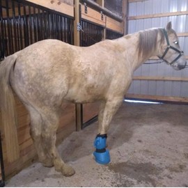 Yeezo A Pair Hoof Soaker Boot Equine Soaking Boot Horse Soak Bag Draft Soaker Sack Horse Foot Wrapped Hooves Care Bags Easy Use Icing Treatment Bucket