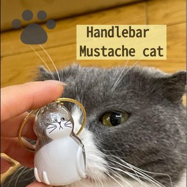 LALXUIEYC Cat Hair Storage Keychain: Pet Fur Keepsake Collector, Dog Transparent Pendant Memorial Bottle, Cat Lover Collecting Gift (Handlebar Mustache Cat)