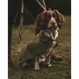WALKER AND HAWKES - Derby Tweed Alfie Dog Coat - Sage Check - Medium