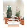 Maestro Storm Cloud Barometer Gift