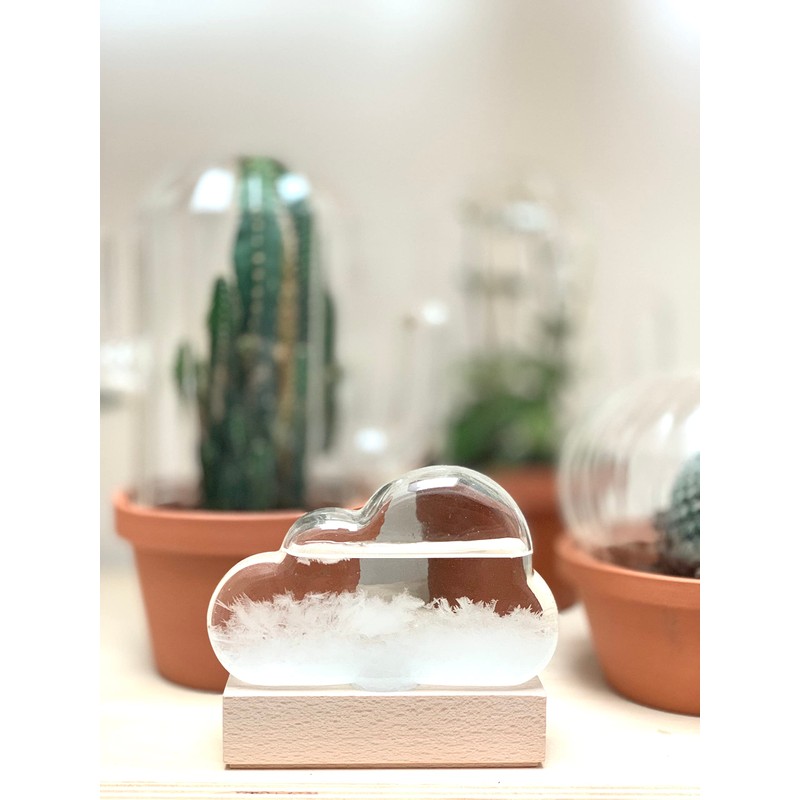 Maestro Storm Cloud Barometer Gift