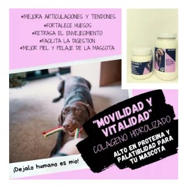 Colágeno Hidrolizado Alta Proteína Especial P/mascotas 100gr