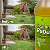 Natural Elements Mole and Vole Repellent | 100% Castor Oil
