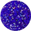 3000 Pieces SS6 2mm Flatback Rhinestones Clear Glasses Round Gems