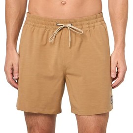 Billabong Men's Standard Every Other Day 16" Layback Trunk Boardshort, Vintage Brown