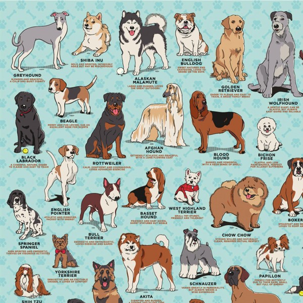 Ridley's Dog Lover's 500-Piece Jigsaw Puzzle – Dog Puzzle with