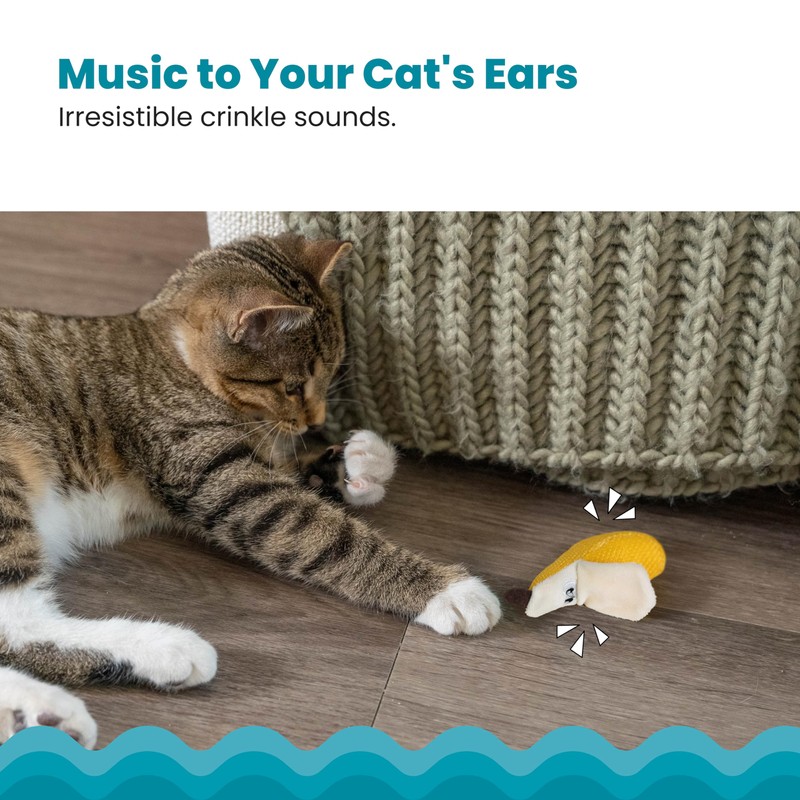 Catstages Petstages Dental Banana Catnip Cat Chew Toy