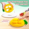 HAOBAOBEI Baby Fruit Food Feeder - Silicone Nibble Tray Combo